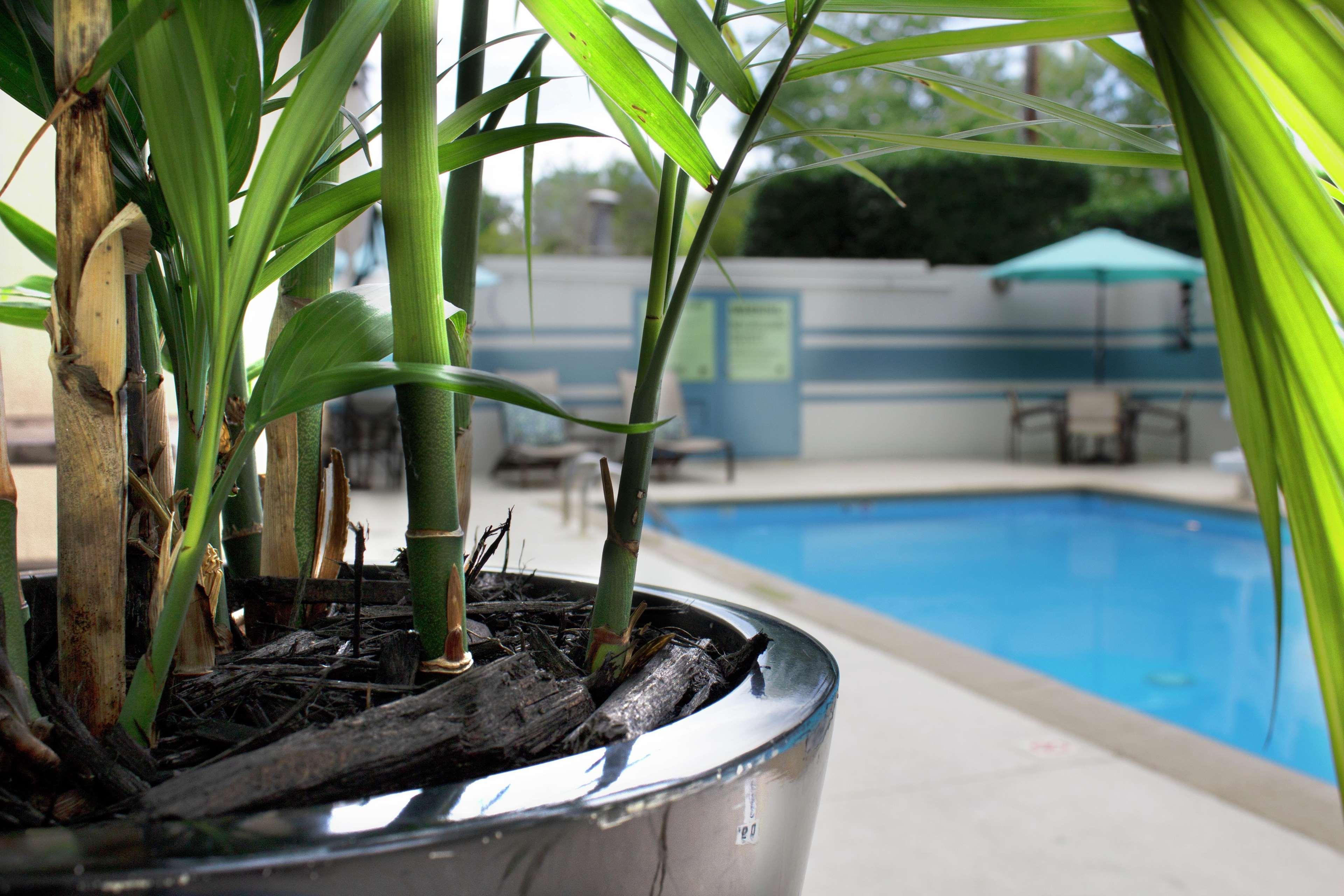 Hotel Doubletree By Hilton Charlotte Uptown Extérieur photo